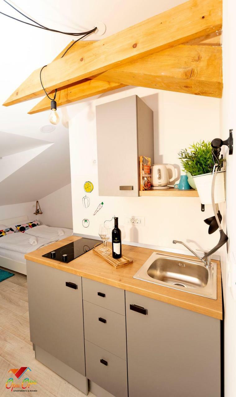 Apartments Opa Opa リエカ エクステリア 写真